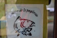 Image introuvable